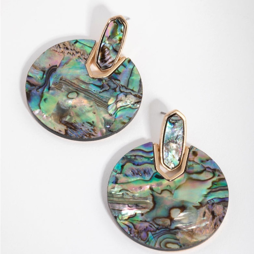 Elegant Abalone Picture Earrings